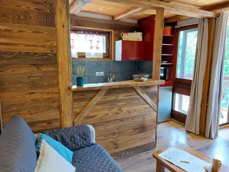 Castel des roches, studio 25m² vue montagnes : photo 9