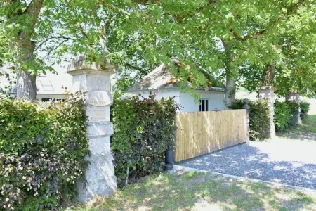 La Drève du Château – Maison 8 pers., forêt à 100 m : photo 7