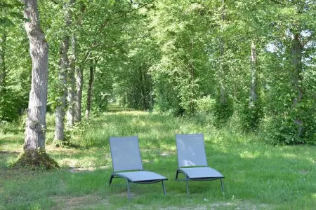 La Drève du Château – Maison 8 pers., forêt à 100 m : photo 29