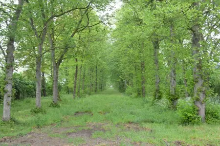La Drève du Château – Maison 8 pers., forêt à 100 m : photo 30