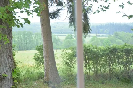 La Drève du Château – Maison 8 pers., forêt à 100 m : photo 33