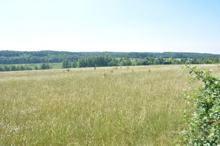 La Drève du Château – Maison 8 pers., forêt à 100 m : photo 34