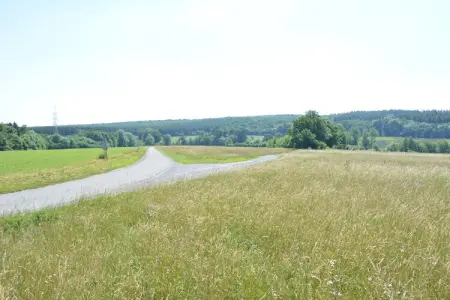 La Drève du Château – Maison 8 pers., forêt à 100 m : photo 35