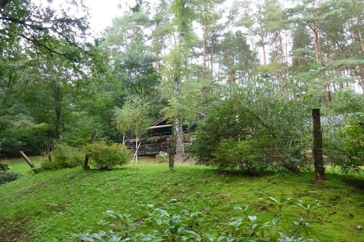 Chalet avec sauna privé aux Vosges du Nord - Photo 22