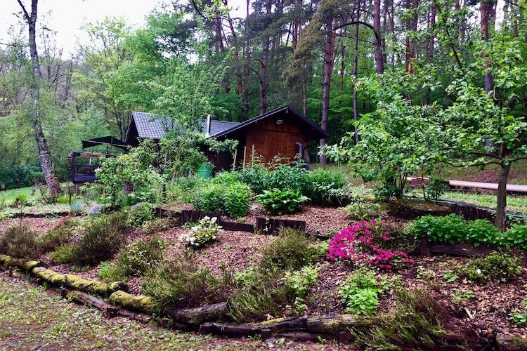 Chalet avec sauna privé aux Vosges du Nord - Photo 33