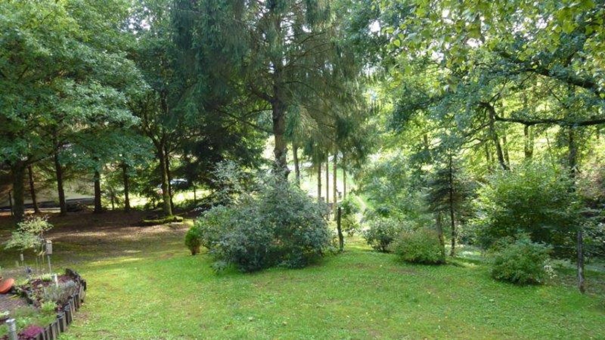 Chalet avec sauna privé aux Vosges du Nord - Photo 34