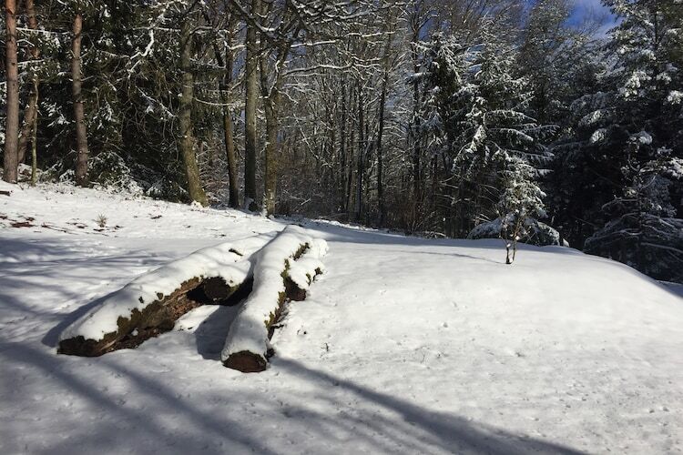 Chalet avec sauna privé aux Vosges du Nord - Photo 36