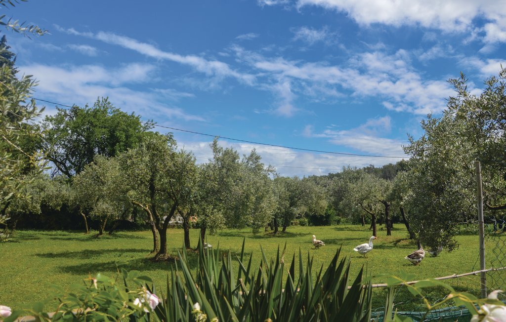 Maison provençale avec piscine à Fontvieille - Photo 9