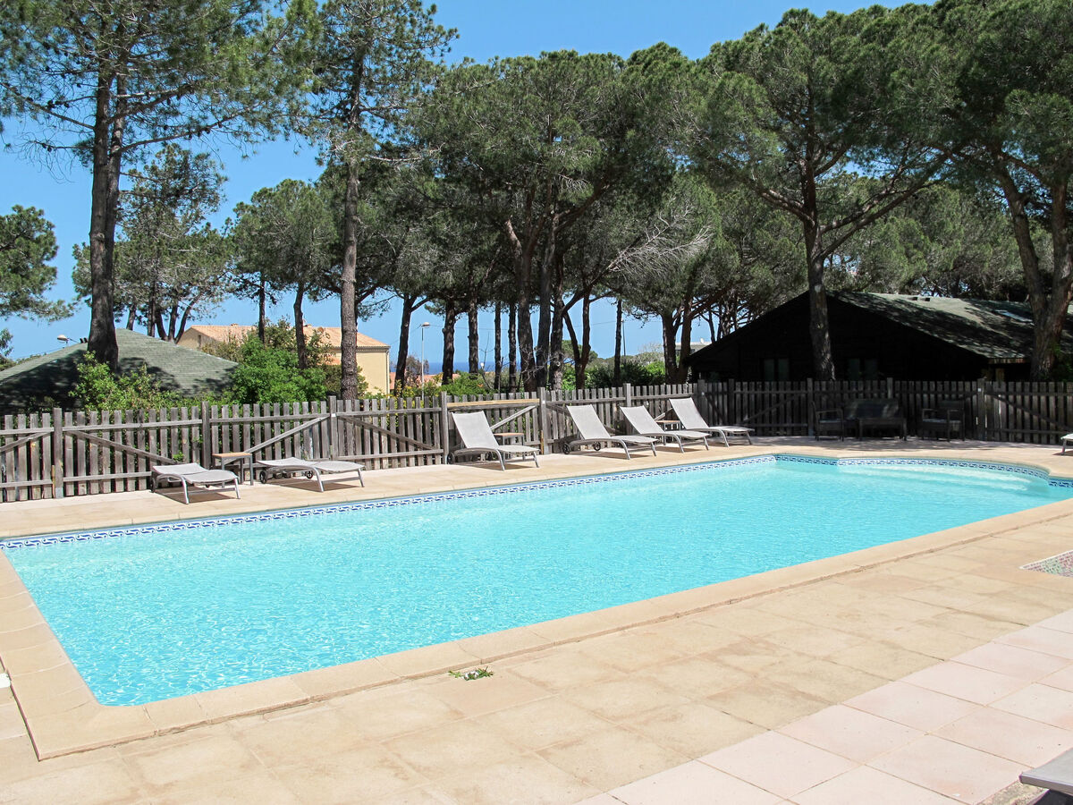 Bungalow 2 pers avec piscine à Calvi - Photo 7