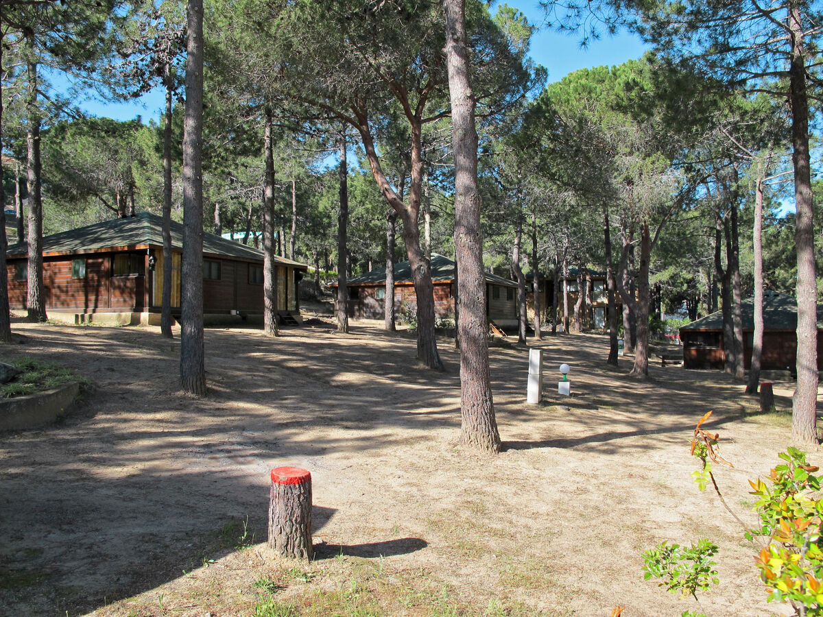 Bungalow 2 pers avec piscine à Calvi - Photo 9