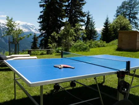 Bürcher Haus 2. OG Süd, Appartement 6 personnes à Riederalp - Photo 22