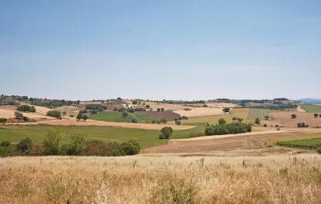 Maison 12 personnes à Castiglione del Lago - Photo 49