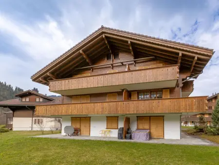 Location appartement à Lenk, Chalet Lerchweid Lenk