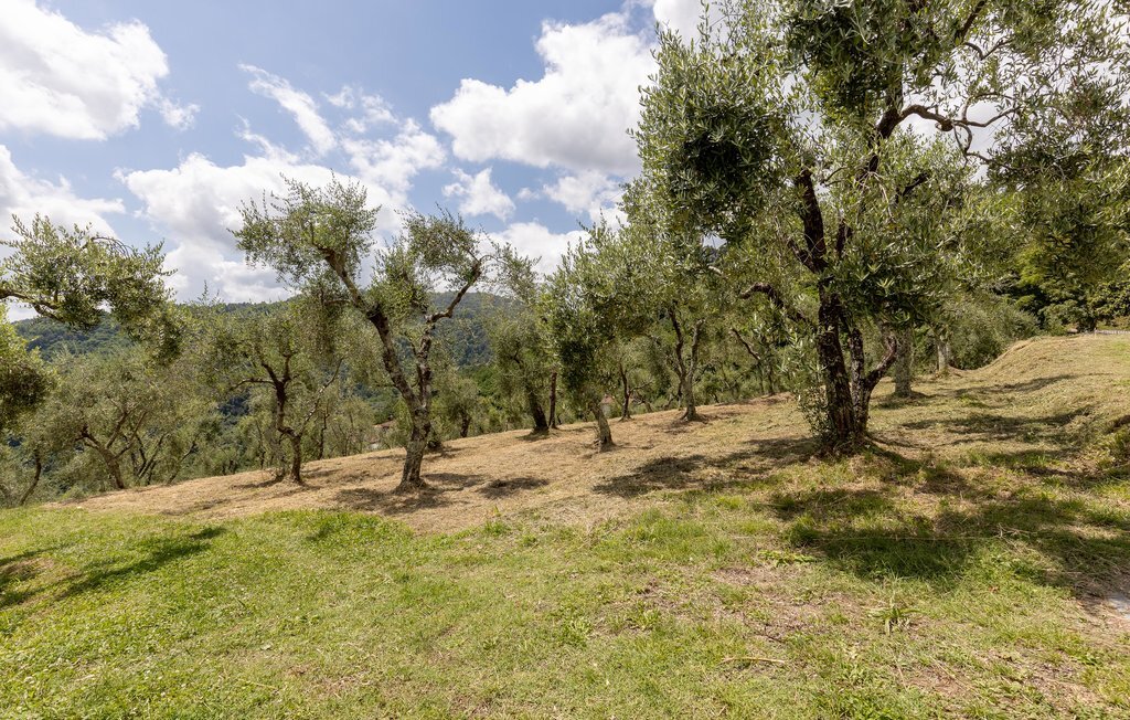 Villa Bianca – Maison 8 pers. piscine privée en Toscane - Photo 15