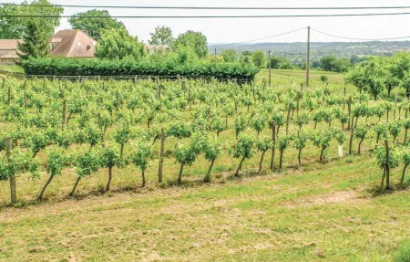Maison 6 pers. avec piscine privée en Dordogne : photo 8