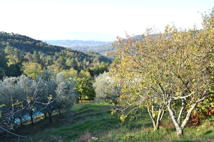 Nelverde 6 – Maison avec piscine privée à Pescia - Photo 31