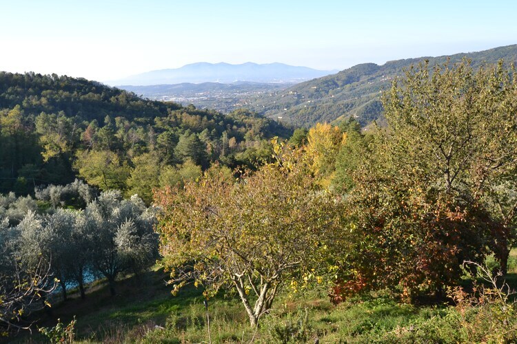 Nelverde 6 – Maison avec piscine privée à Pescia - Photo 37
