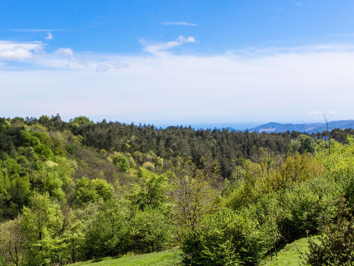 Appartement Sambucco à San Bartolomeo del Bosco, vue montagne - Photo 23