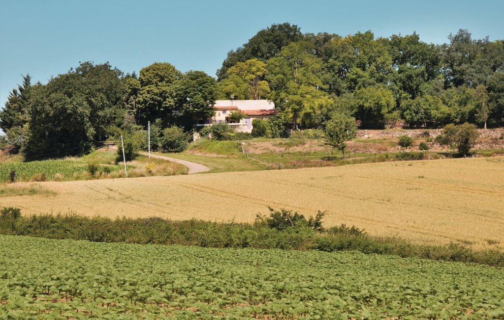 Maison XIXe siècle avec terrasse panoramique à Lavardac - Photo 10