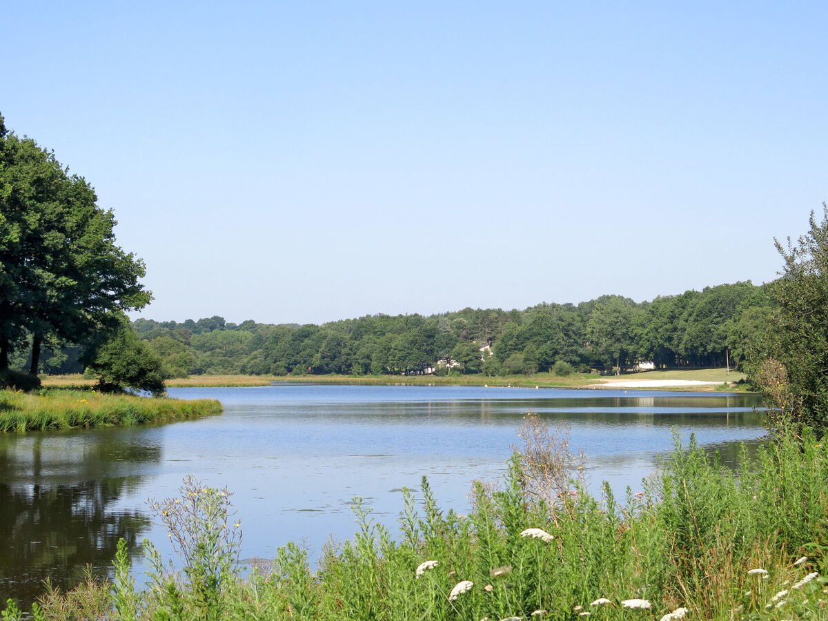 Le Moulin Neuf – Bungalow 45 m² près du lac - Photo 22