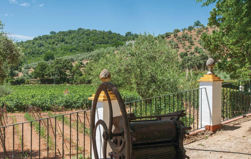 Maison 6 pers. avec piscine privée et vendanges en Andalousie - Photo 4