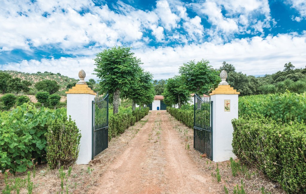Maison 6 pers. avec piscine privée et vendanges en Andalousie - Photo 6