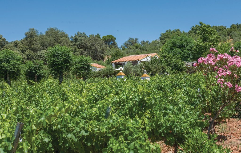 Maison 6 pers. avec piscine privée et vendanges en Andalousie - Photo 29