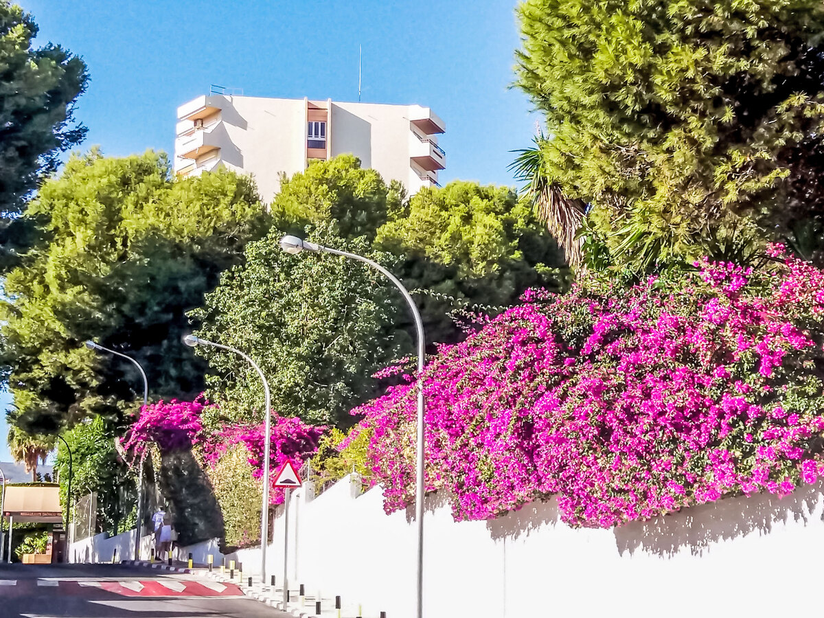 Duquesa de España, appartement 2 pièces vue mer - Photo 23