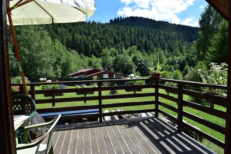 Chalet familial Turquestein, terrasse et accès ruisseau - Photo 18