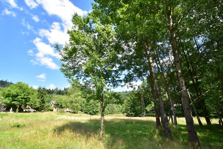 Chalet familial Turquestein, terrasse et accès ruisseau - Photo 25