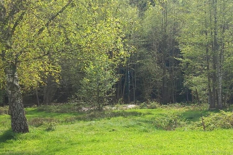 Chalet familial Turquestein, terrasse et accès ruisseau - Photo 31