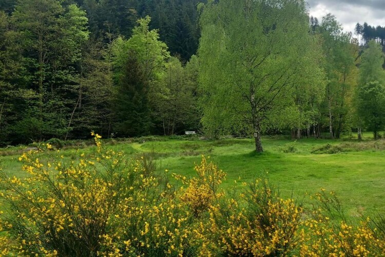 Chalet familial Turquestein, terrasse et accès ruisseau - Photo 33