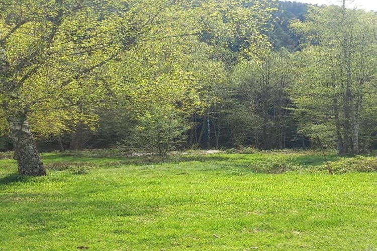 Chalet familial Turquestein, terrasse et accès ruisseau - Photo 37