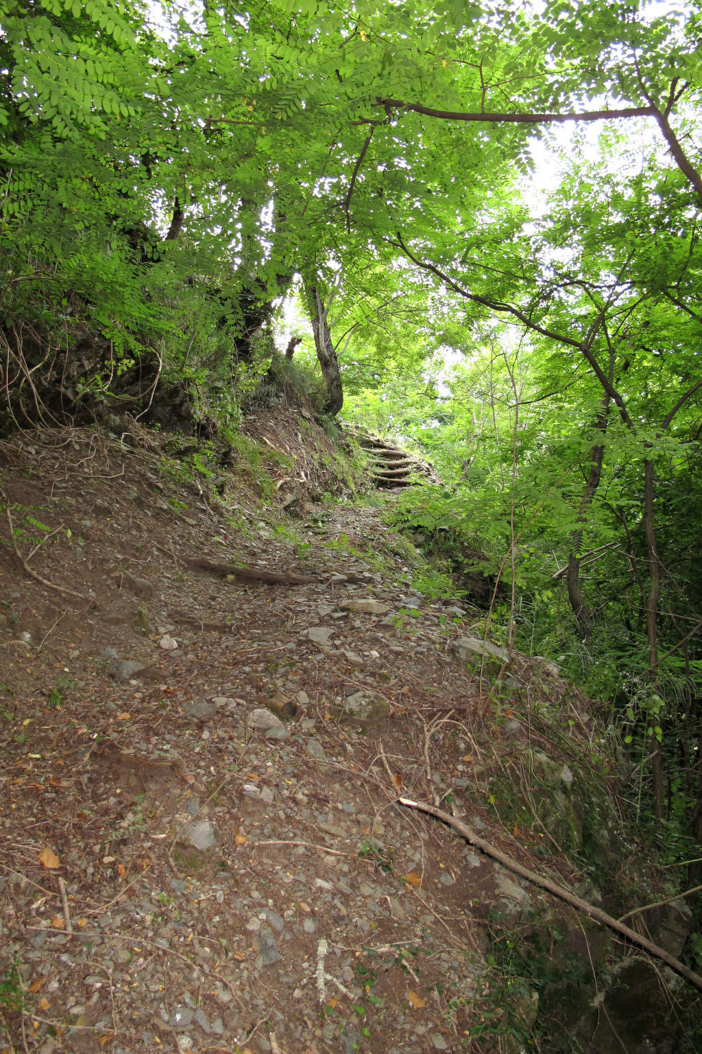 Les Galets – Maison rustique 80 m² à Valgorge - Photo 23