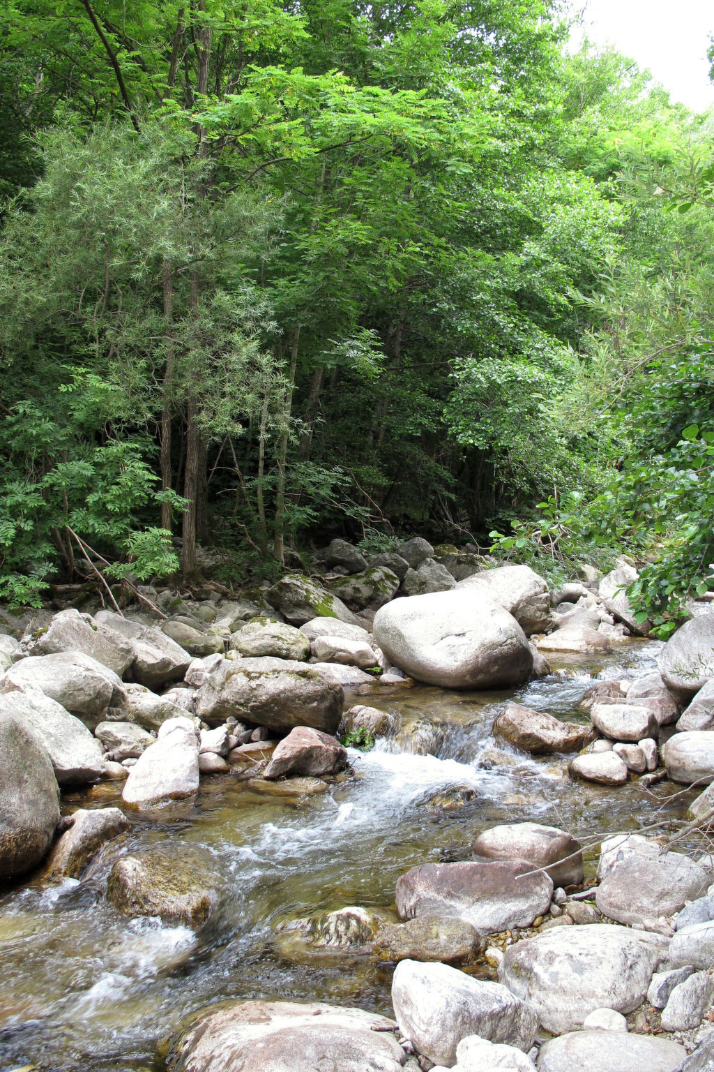 Les Galets – Maison rustique 80 m² à Valgorge - Photo 24