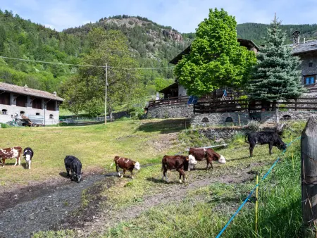Maison Meynet – 90 m² rustiques à 1 200 m d'altitude, Sarre : photo 29