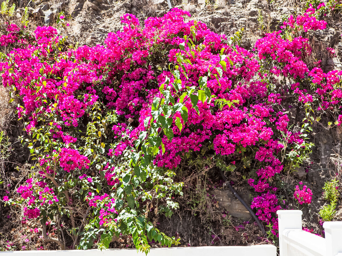Villa Rosa Blanca, maison 6 pers. avec piscine à Nerja - Photo 24