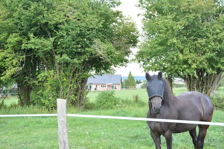 Villa Sous le Charme d'Epona - 9 pers., Ardennes - Photo 31
