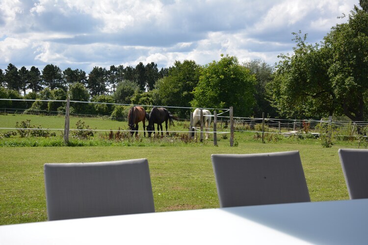 Villa Sous le Charme d'Epona - 9 pers., Ardennes - Photo 32