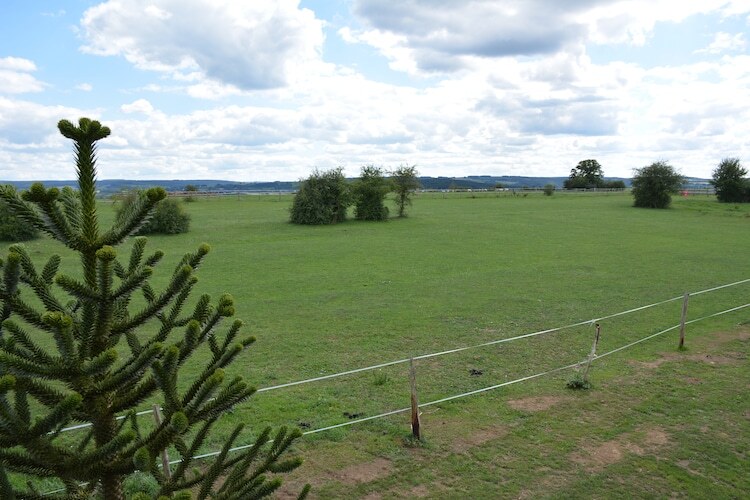 Villa Sous le Charme d'Epona - 9 pers., Ardennes - Photo 33