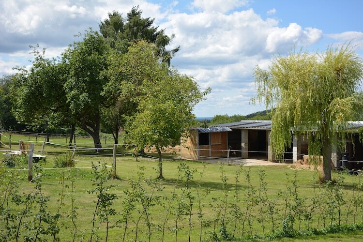 Villa Sous le Charme d'Epona - 9 pers., Ardennes - Photo 34