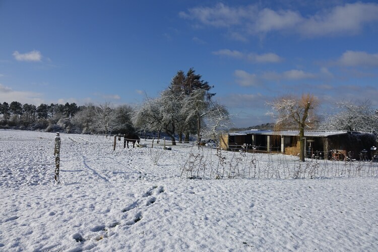 Villa Sous le Charme d'Epona - 9 pers., Ardennes - Photo 39