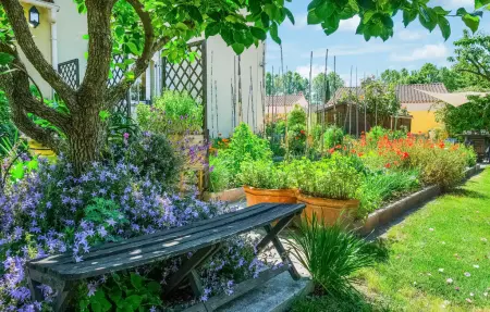 Maison 3 chambres avec piscine et potager à Mallemort : photo 8