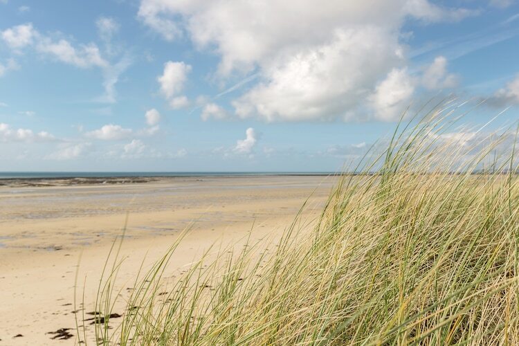Rayon Vert – Maison 20 m de la plage - Photo 31