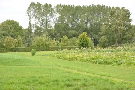 La Ferme Sainte-Adèle : maison 12 pers. en Wallonie : photo 30