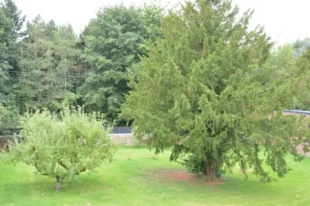 La Ferme Sainte-Adèle : maison 12 pers. en Wallonie : photo 31