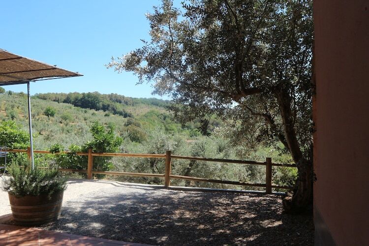 Maison Mario à Castagneto Carducci, oliveraies et mer - Photo 11