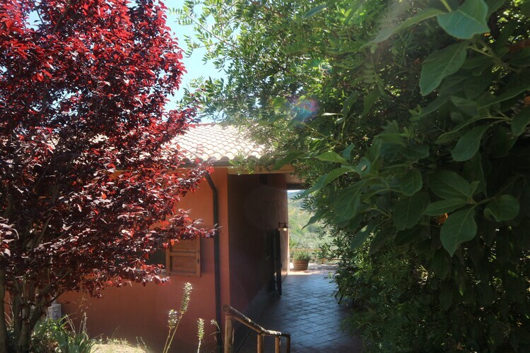 Maison Mario à Castagneto Carducci, oliveraies et mer - Photo 31