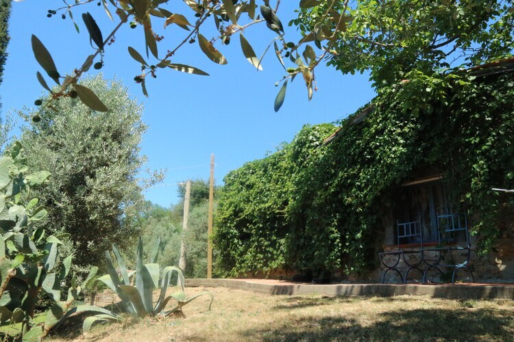 Maison Mario à Castagneto Carducci, oliveraies et mer - Photo 33