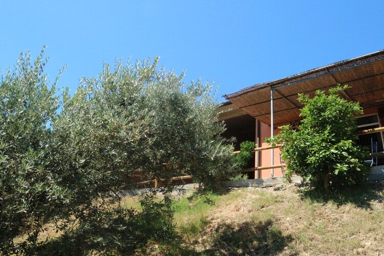 Maison Mario à Castagneto Carducci, oliveraies et mer - Photo 35